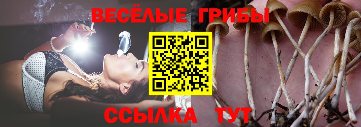Киреевск  Псилоцибиновые грибы Cubensis  Вход с VPN 